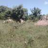 Vacant Plot for sale township Bahari Mpeketoni, Lamu thumb 2