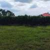 5,000 ft² Residential Land in Malaa thumb 3