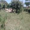 4 acres vacant land, Mapunga Witu, coast thumb 1
