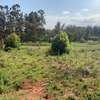 0.05 ha Land in Kikuyu Town thumb 11