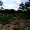 720 acres of virgin along the river kibwezi Makueni County thumb 5