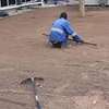 Bestcare Landscaping & Gardening Services in Karen,Runda thumb 2