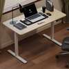 OFFICE DESK: White Electrical Standing Desk thumb 0
