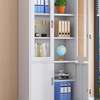 OFFICE CABINET: Two Door Unique Office Cabinet thumb 5