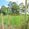 0.16 ha Residential Land at Kamangu thumb 15