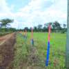 Prime plots in Nakuru thumb 3