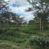 0.125 ac Land at Naivasha thumb 4