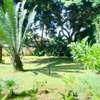 5 Bed House with Garden in Kitisuru thumb 10
