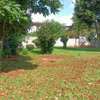 5 Bed Townhouse with Garden in Loresho thumb 15