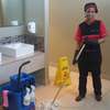 House Cleaning Services/Sofa Set & Carpet Cleaning Kikuyu thumb 3