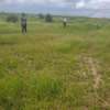 Affordable land for sale in Isinya thumb 0