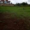 1.25acres land for sale in ndeiya makutano thumb 2