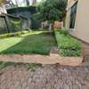 4 Bed House with En Suite at Lavington thumb 8