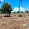 Residential Land in Malindi thumb 3