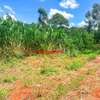 0.1 ha Commercial Land at Mwimuto thumb 10