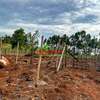 0.05 ha Residential Land in Kamangu thumb 18