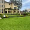 6 Bed House with Garden in Runda thumb 0