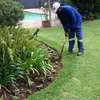 Best Landscaping and Gardening Company | Professional Landscape Designers | Contact Us Today. thumb 0