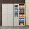 Office Cabinet: 2-Door Steel Frame Cabinet in Modern Style thumb 6