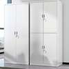 Cabinets : 2 Door Metallic Office Cabinet thumb 11
