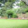 Full-Service Landscaping Machakos, Kajiado,Nairobi,Syokimau thumb 7