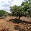 30 acres of land for sale in Makindu Makueni County thumb 5