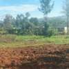 Spacious Rural Land Plot for Farming & Home thumb 5
