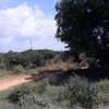 1,012 m² Residential Land in Vipingo thumb 3