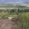 1/4 Acre Land For sale in Nakuru, Miti Mingi thumb 2