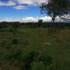 5,000 m² Land at Nanyuki Mount Kenya View thumb 2