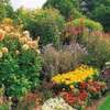 ROSSLYN GARDENING PLUMBING ELECTRICAL PAINTING REPAIRS thumb 0