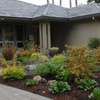 Bestcare Landscaping & Gardening | Quality Gardening Services - Professional and Efficient. thumb 12