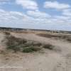 affordable 50 by 100 land for sale in Lenchani, Kitengela thumb 1