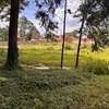0.5 ac Residential Land in Nyari thumb 2