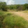 1500 Acres Touching Athi River in Makueni is For Sale thumb 3