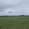 Prime 50x100 land for sale- Isinya thumb 1