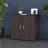 Office Cabinet: Wooden Modern Office Cabinet thumb 4