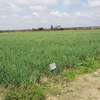10 ac Land in Isinya thumb 3