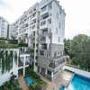 Furnished 1 bedroom apartment for rent in Spring Valley thumb 0