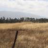 30 ac land for sale in Nyandarua County thumb 3