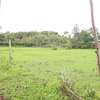 1 ac Commercial Land at Upper Matasia Road thumb 5