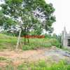 Residential Land at Kamangu thumb 4