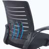 Office Chair :Ergonomic Mesh Chair thumb 1