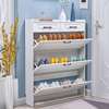 Modern Shoe Storage Cabinet thumb 4