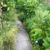 Best Garden Design, Landscaping & Gardening Services | Lawn Care & Yard Waste Removal thumb 2