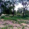 720 acres of virgin along the river kibwezi Makueni County thumb 1