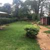 4 bedroom house for rent in Muthaiga thumb 17