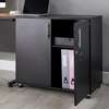 Office Cabinet; 2-Door Wooden Office Cabinet Credenza thumb 1