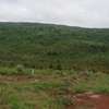 Prime Residential plot for sale in Kikuyu,Nachu area thumb 5