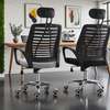 Ergonomic Executive Mesh Office Chair thumb 1